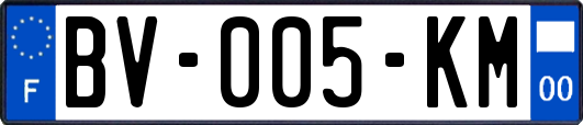 BV-005-KM