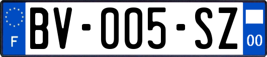 BV-005-SZ