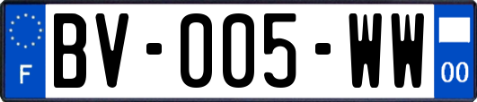 BV-005-WW