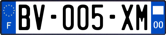 BV-005-XM