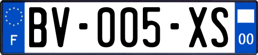 BV-005-XS