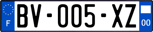 BV-005-XZ