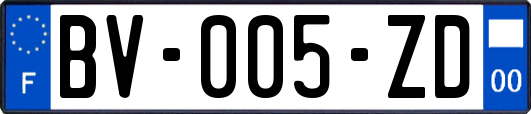 BV-005-ZD