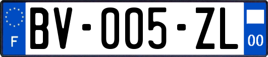 BV-005-ZL