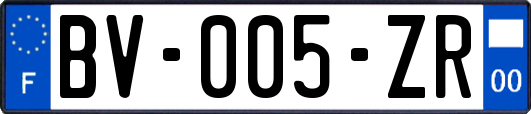 BV-005-ZR