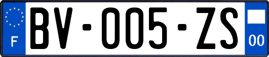 BV-005-ZS