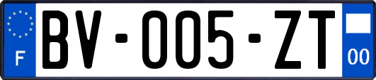 BV-005-ZT