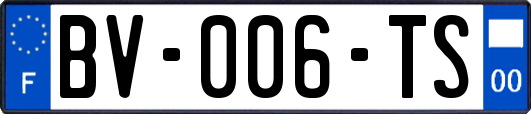 BV-006-TS