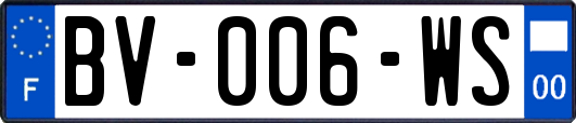 BV-006-WS