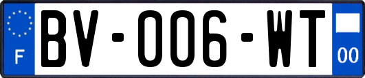 BV-006-WT