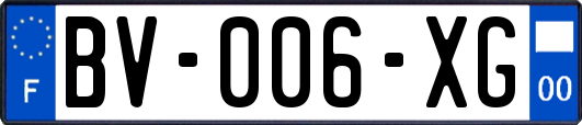 BV-006-XG