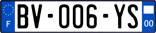 BV-006-YS