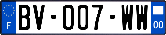 BV-007-WW