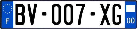 BV-007-XG