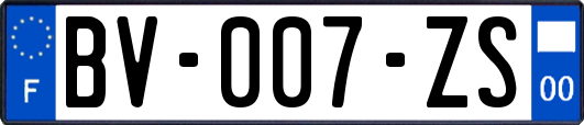 BV-007-ZS