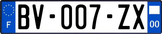 BV-007-ZX