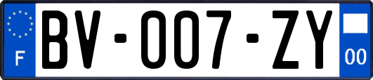 BV-007-ZY