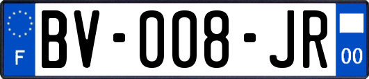 BV-008-JR