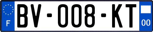 BV-008-KT