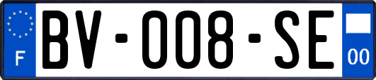 BV-008-SE