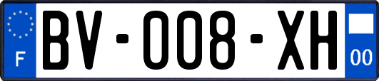 BV-008-XH