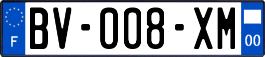BV-008-XM
