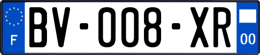 BV-008-XR