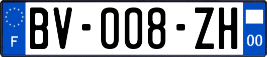 BV-008-ZH