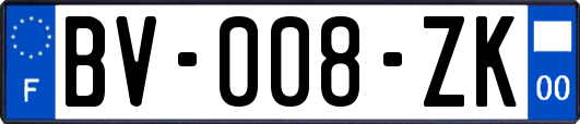 BV-008-ZK