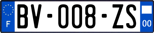 BV-008-ZS