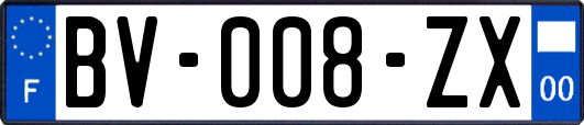 BV-008-ZX