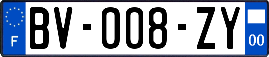 BV-008-ZY