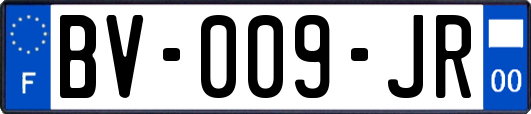 BV-009-JR