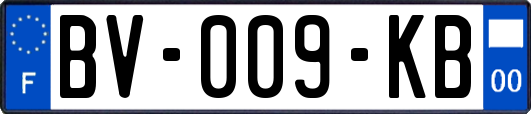 BV-009-KB