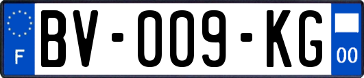 BV-009-KG