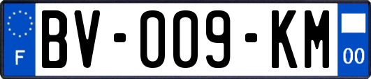BV-009-KM