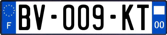 BV-009-KT
