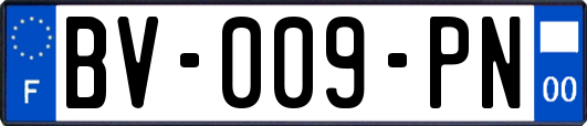 BV-009-PN