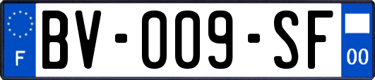 BV-009-SF