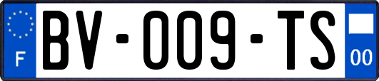 BV-009-TS