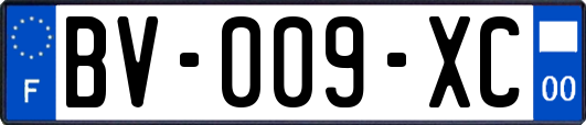 BV-009-XC