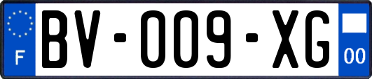 BV-009-XG