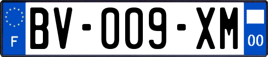 BV-009-XM