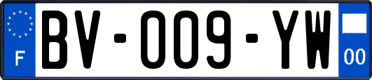 BV-009-YW