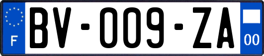 BV-009-ZA