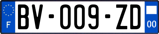 BV-009-ZD