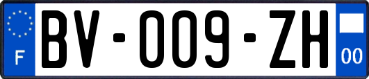 BV-009-ZH