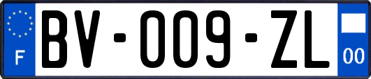 BV-009-ZL