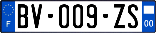 BV-009-ZS