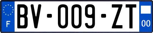 BV-009-ZT